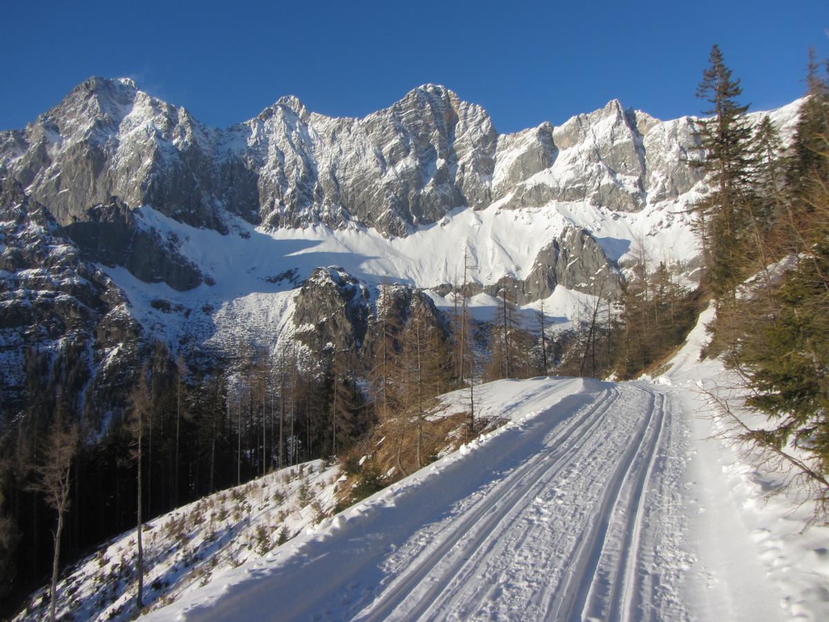Gloesalm Apartment Ramsau am Dachstein Exterior photo
